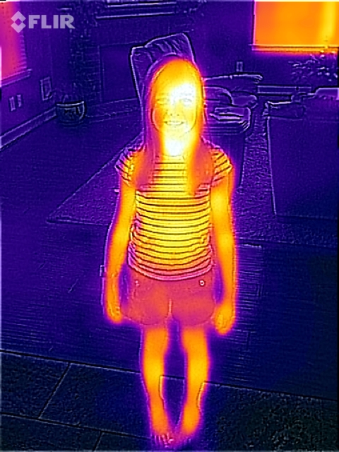 IMG 9155