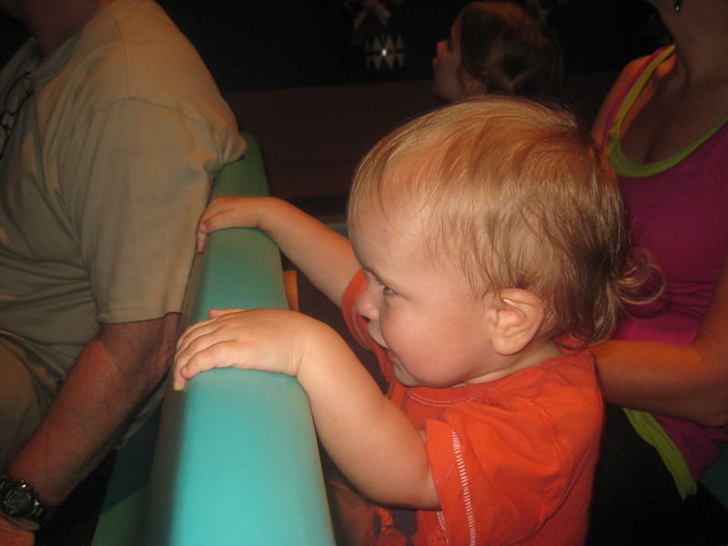 IMG 0073