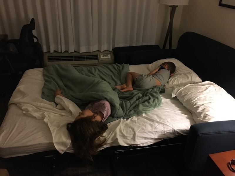 IMG 1024