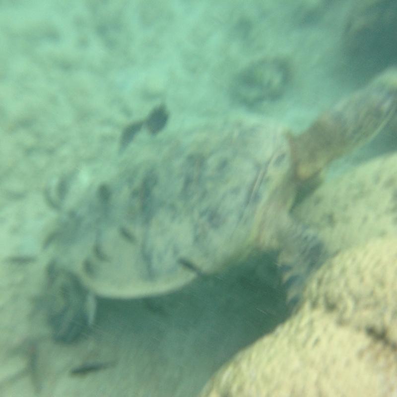 IMG 0402iph5