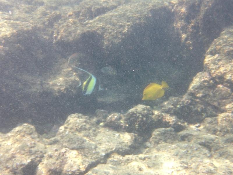 IMG 0284