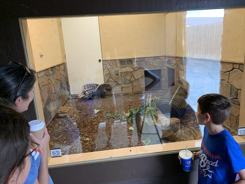 IMG 1221