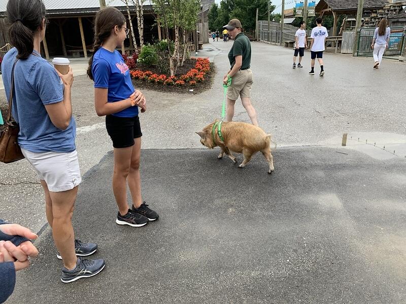 IMG 1222