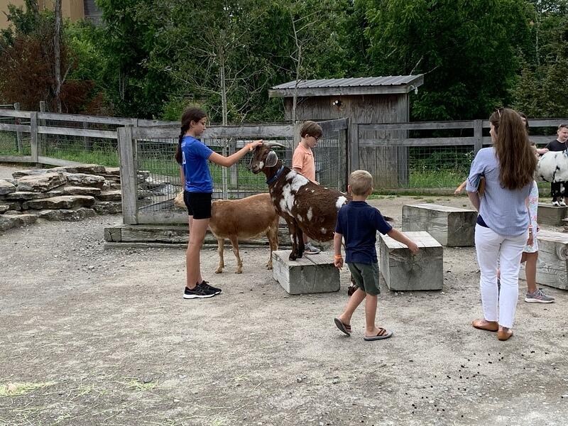 IMG 1224