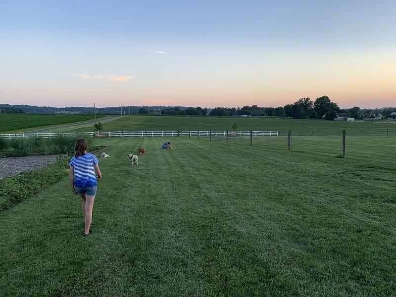 IMG 1373