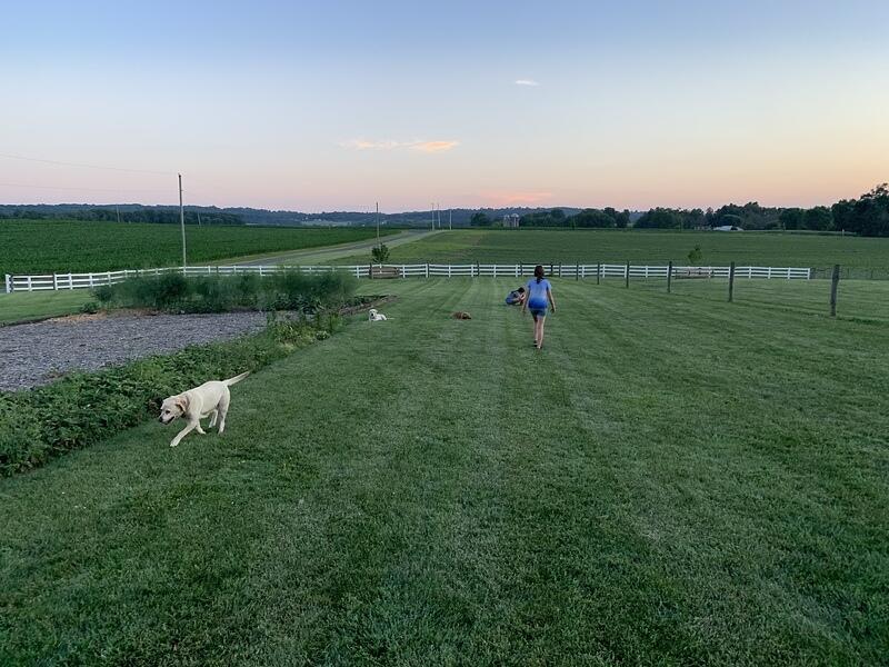 IMG 1374