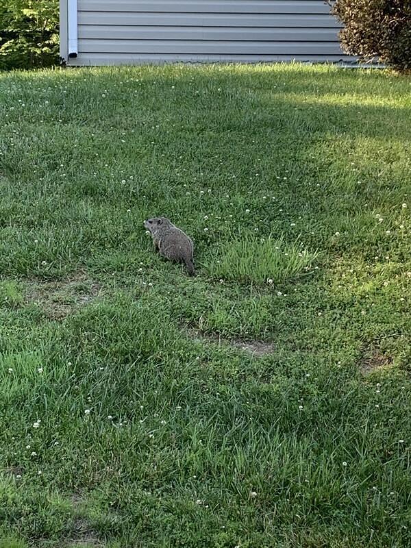 IMG 5728