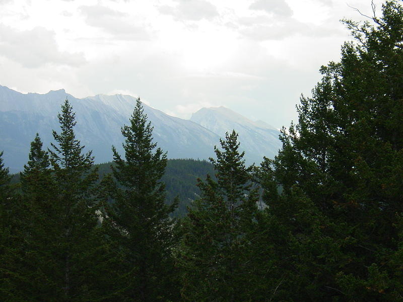 DSC00890.jpg