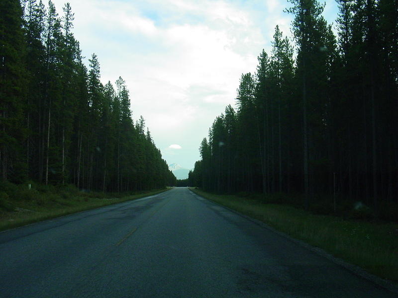 DSC00899.jpg
