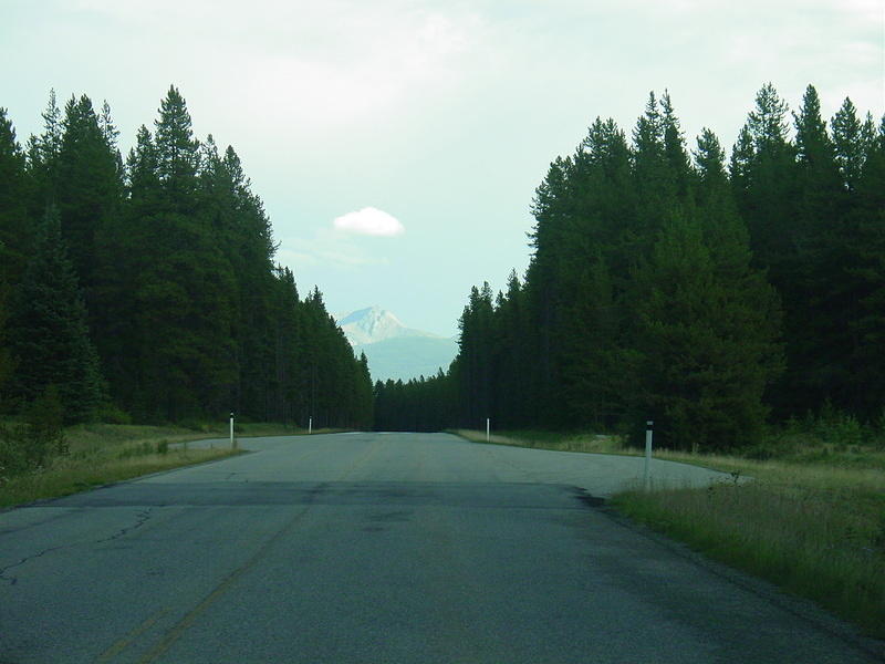 DSC00900.jpg