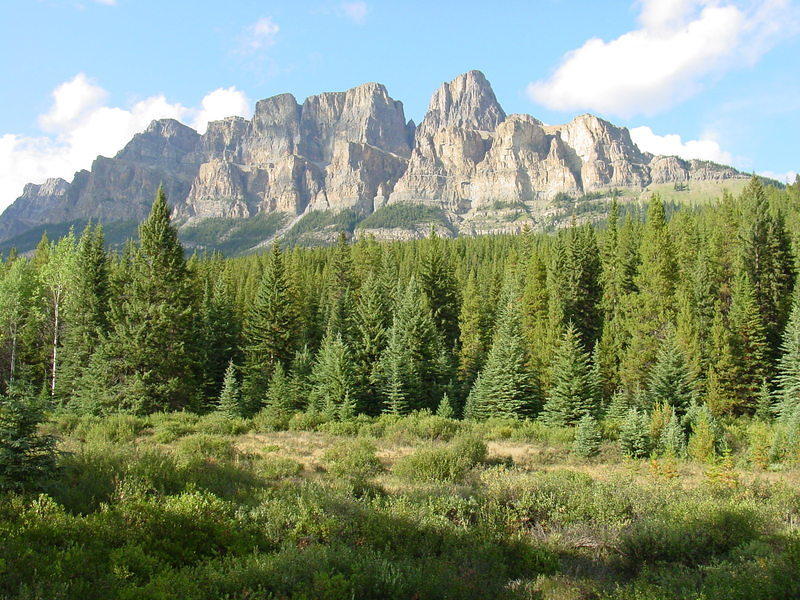 DSC00902.jpg