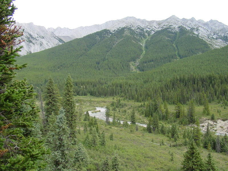 DSC00923.jpg