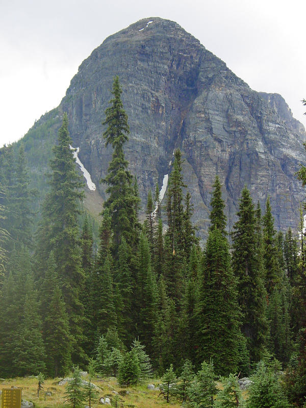 DSC01010.jpg