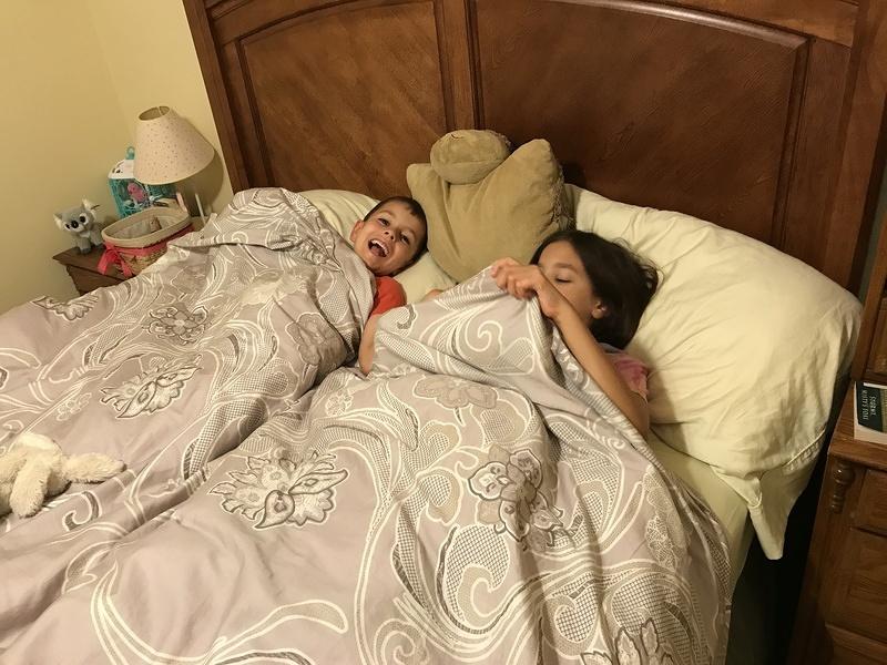 IMG 1269