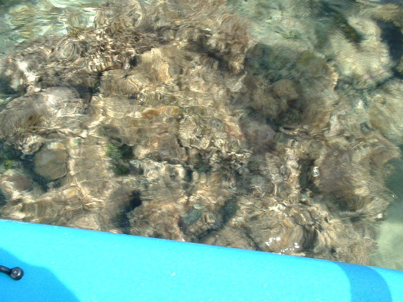 DSCF0031.jpg