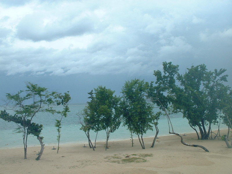 DSCF0064.jpg