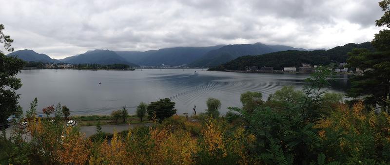 IMG 7901