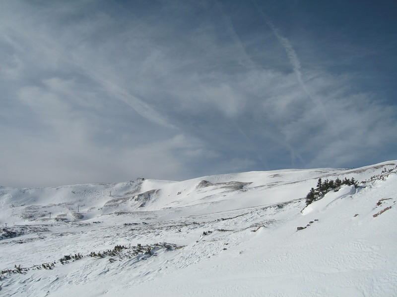 IMG_7423.JPG