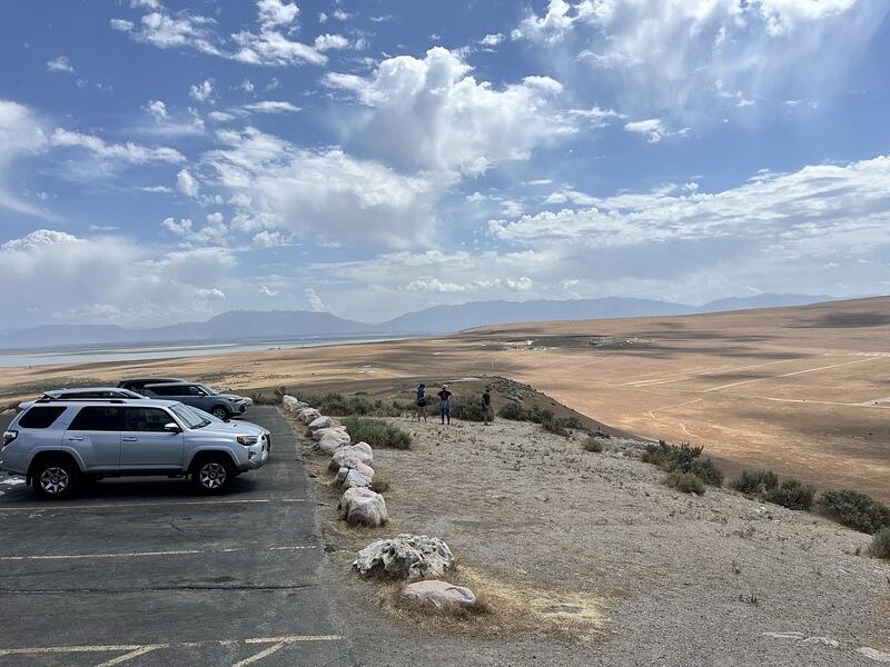 IMG 0960