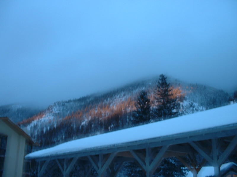 DSCF0017.jpg