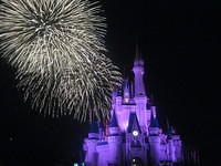 Day 5 - Hollywood Stuios and Magic Kingdom