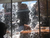 IMG 0097