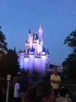 IMG 0215 djv