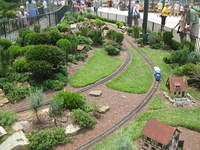 IMG 0329