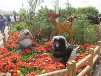 IMG 0347
