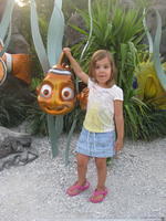 IMG 0353