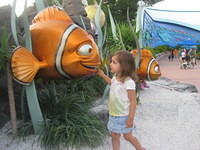 IMG 0356