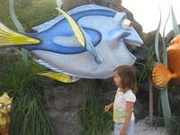 IMG 0357