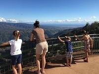 IMG 0623