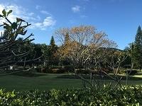IMG 0710