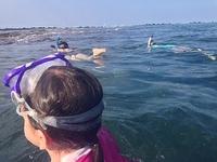IMG 0275