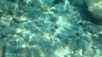 IMG 0301iph5
