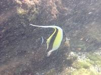 IMG 0317iph5
