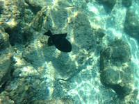 IMG 0335iph5