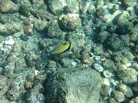 IMG 0339iph5