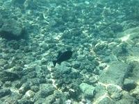 IMG 0341iph5