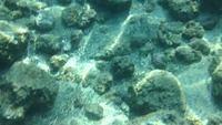 IMG 0345iph5