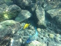 IMG 0347iph5