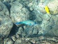 IMG 0352iph5
