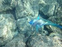IMG 0353iph5