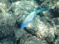 IMG 0354iph5