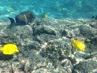 IMG 0356iph5