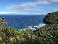 IMG 0368