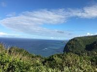 IMG 0373