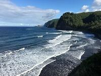 IMG 0378
