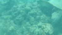IMG 0385iph5